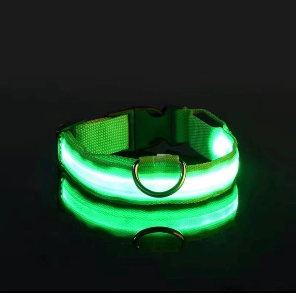 Dog collar, red, green, blue